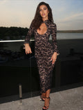 Midnight Lace Elegance Dress